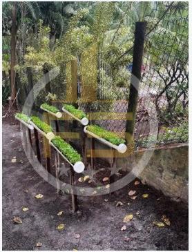 Casa em Condomínio para Venda em Camaçari, Barra do Jacuípe (Monte Gordo), 3 dormitórios, 3 banheiros, 5 vagas